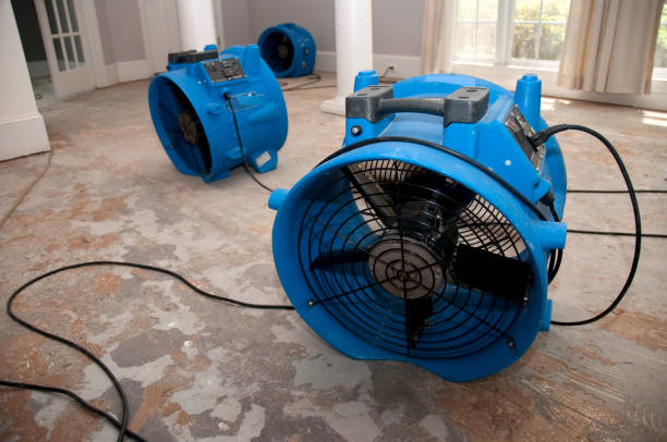 Best Carpet water damage restoration  in Newtown Grant, PA