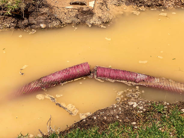 Best Water damage restoration near me  in Newtown Grant, PA