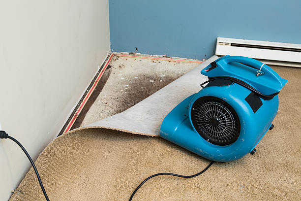 Best Water damage restoration near me  in Newtown Grant, PA